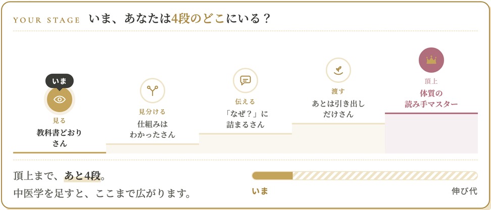 結果の見本：4段のどこにいるかと、中医学を足したときの伸び代